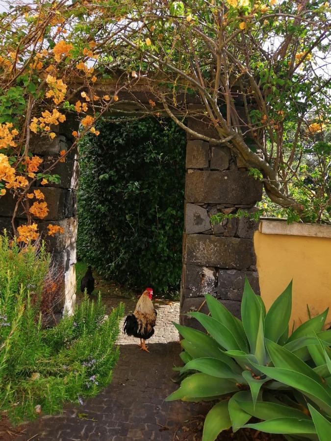 Casa Da Japoneira Hotel Horta  Ngoại thất bức ảnh